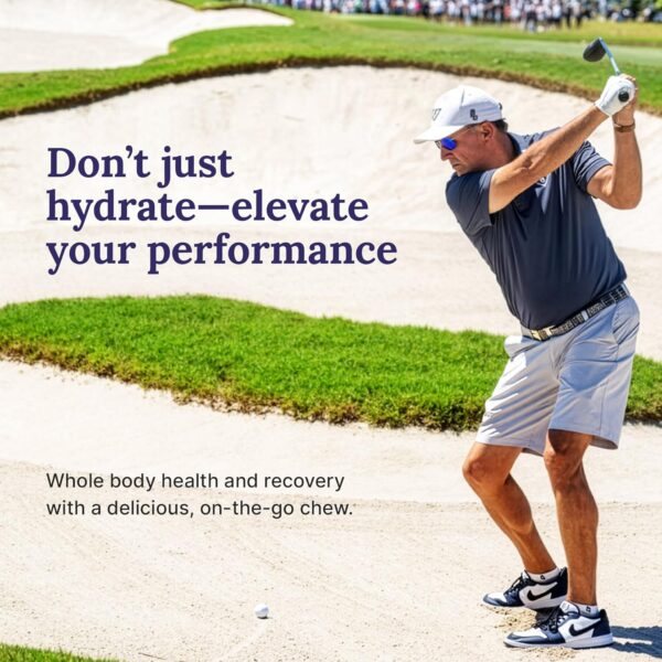 For Wellness Recovery Gummies Hydrate | Blueberry Electrolyte & Antioxidant Supplements for Hydration, Energy & Post-Workout Performance | Vegan, Non-GMO, 30 Count