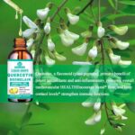 Quercetin with Bromelain Liquid Drops, 4X Stronger Than Capsules & Pills, 7-in-1 Organic Zinc Quercetin 1000mg with Bromelain 500mg Vitamin C D3 Immune Support for Respiratory Health & Antioxidant