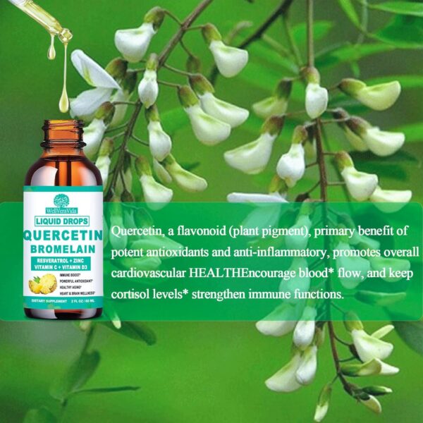 Quercetin with Bromelain Liquid Drops, 4X Stronger Than Capsules & Pills, 7-in-1 Organic Zinc Quercetin 1000mg with Bromelain 500mg Vitamin C D3 Immune Support for Respiratory Health & Antioxidant