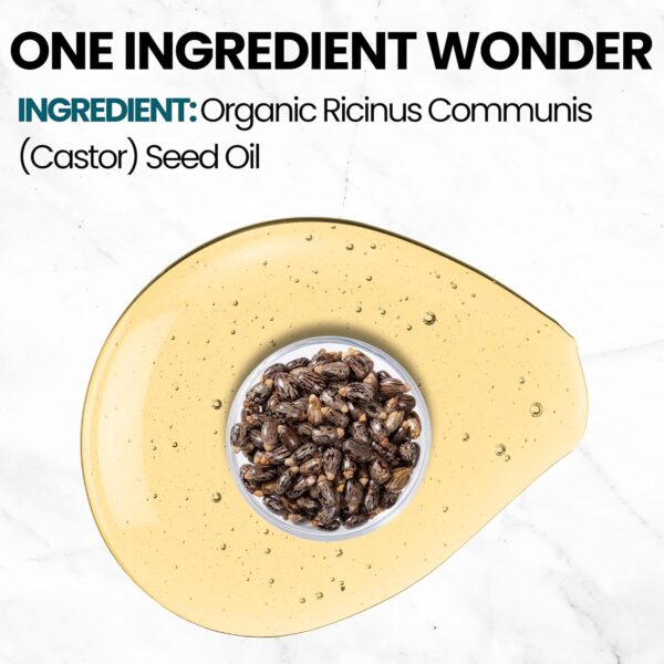 Florisan Organic Castor Oil 16oz Glass Bottle, Cold Pressed, Hexane-Free, Non-GMO, 100% Pure Castor Oil for Hair Growth, Skin, Lashes, Eyebrows, EWG Verified & USDA Organic Certified