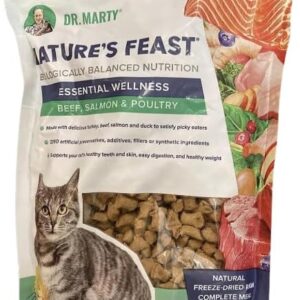 Dr. Marty Nature's Feast Essential Wellness Beef, Salmon and Poultry Dry Cat Food 12 oz