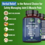Pain Relief- White Willow Bark Extract, Devil's Claw, Turmeric, Boswellia, Bromelain and Ginger Premium Extract Blend- 120ct