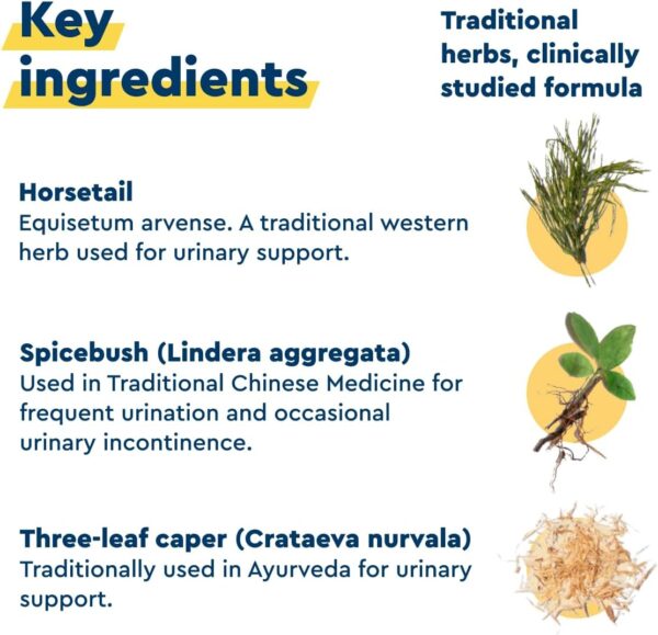 Uqora in Control Bladder Support - Daily Bladder Care & Support for Urinary Comfort - Made with botanicals, Like Horsetail & Spicebush - Gluten-Free & Vegetarian - 60 Capsules