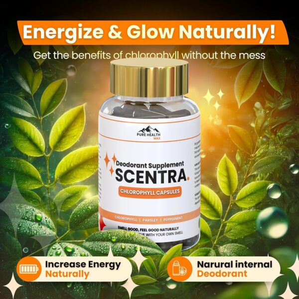 Scentra Deodorizing Supplement | Chlorophyll Capsules for Women and Men, Full Body Deodorant Pills | Natural Internal Odor Defeat Supplements, 60 Tablets for Breath, Underarm, Skin with Mint & Parsley