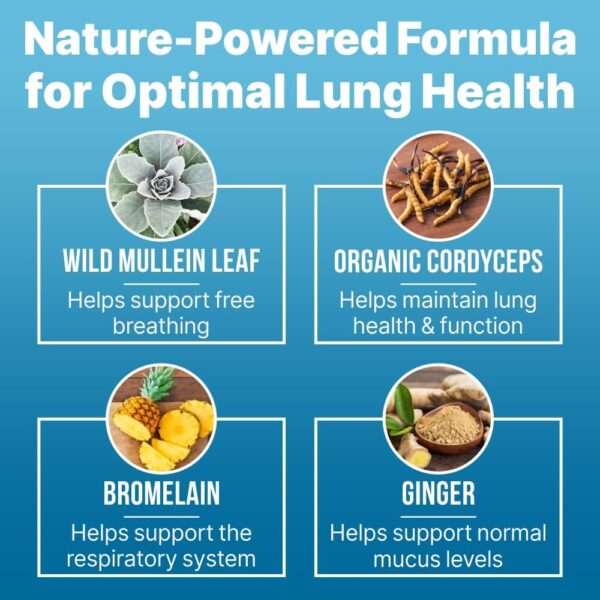 Lung Support Supplement Drops with Wild Mullein Leaf Extract for Lungs and Mucus Relief Support - 2 Fl oz
