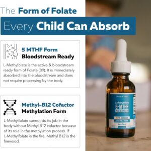 711Sv9MOlGL._AC_SL1500_