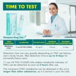 Easy@Home Marijuana Drug Test Kit for Urine - THC Tests for Home Use (10 Pack), Weed Detox Testing Kits with 50 ng/ml Cutoff Level, #EDTH-114