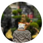 Share Original® cultured fermented Japanese apricot/plum (3-pc to taste) 30+months fermented, incl. description, Share Swiss Fermented