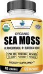 American Standard Supplements Organic Sea Moss, Bladderwrack & Burdock Root Capsules - 1200mg Seamoss, 1200mg Bladderwrack, 225mg Burdock Root Per Serving - 120 Capsules, 40 Servings