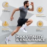 (2 Pack) Alpha Bites - Original Formula 7 in 1 Alpha Bites Gummies, AlphaBites for Men, Official Alpha Bites Advanced Premium Formula Performance and Energy, Alpha Bite Gummy Reviews, for 2 Months