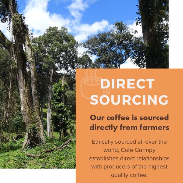 Café Grumpy Coffee - Heartbreaker Blend, 12oz Bag, Medium Roast, Drip, French Press, Pour Over, Cold Brew (Fine Grind (Espresso))