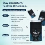 HPN NAD3 Clinical NAD+ Booster, Cellular Health & Natural Energy - NAD Supplement for Healthy Aging, Metabolic Support, NRF2 & Longevity, Nicotinamide Riboside & NMN Alternative, 60ct, 30-Day Supply