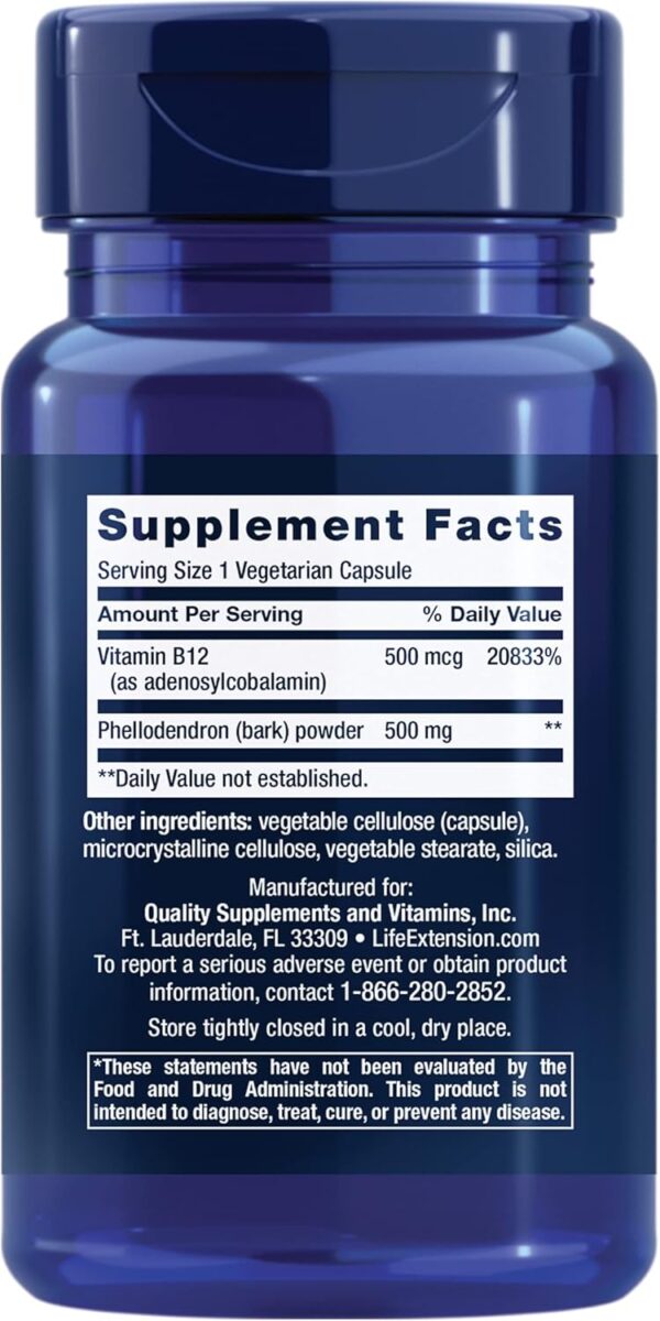 Life Extension Dopamine Advantage, Cognitive Health, Mental Sharpness, Motivation, Vitamin B12, phellodendron bark Powder, Gluten Free, Non-GMO, Vegetarian, 30 Capsules