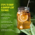 40 Premium Soursop Graviola Leaf Tea Bags, 100% Natural and Pure from Soursop Leaves, Handmade, Made With Natural Materials-Corn Fiber Tea Bag, Sugar/Caffeine/Gluten Free, Hoja Guanabana Tea