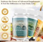 Spike Support Trio | Liposomal Nattokinase 8000 FU 500mg, Bromelain 1150 mg & Fermented Curcumin 1800 mg | High Potency, Enhanced Absorption Formula | for Immune, Heart & Circulatory| 60 Servings