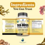 American Standard Supplements Organic Sea Moss, Bladderwrack & Burdock Root Capsules - 1200mg Seamoss, 1200mg Bladderwrack, 225mg Burdock Root Per Serving - 120 Capsules, 40 Servings