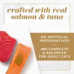 ancy Feast Gems Pate Cat Food Mousse Salmon or Tuna and a Halo of Savory Gravy Wet Cat Food Variety Pack - (1) 8 ct. Boxes - 8 ct. Box