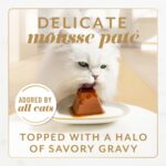 ancy Feast Gems Pate Cat Food Mousse Salmon or Tuna and a Halo of Savory Gravy Wet Cat Food Variety Pack - (1) 8 ct. Boxes - 8 ct. Box