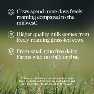 81i2-Ln-13L._AC_SL1500_