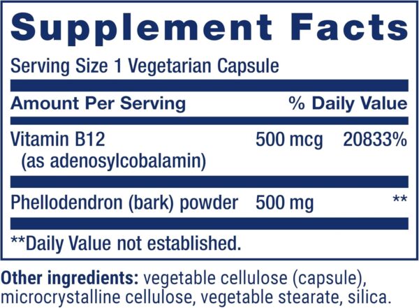 Life Extension Dopamine Advantage, Cognitive Health, Mental Sharpness, Motivation, Vitamin B12, phellodendron bark Powder, Gluten Free, Non-GMO, Vegetarian, 30 Capsules