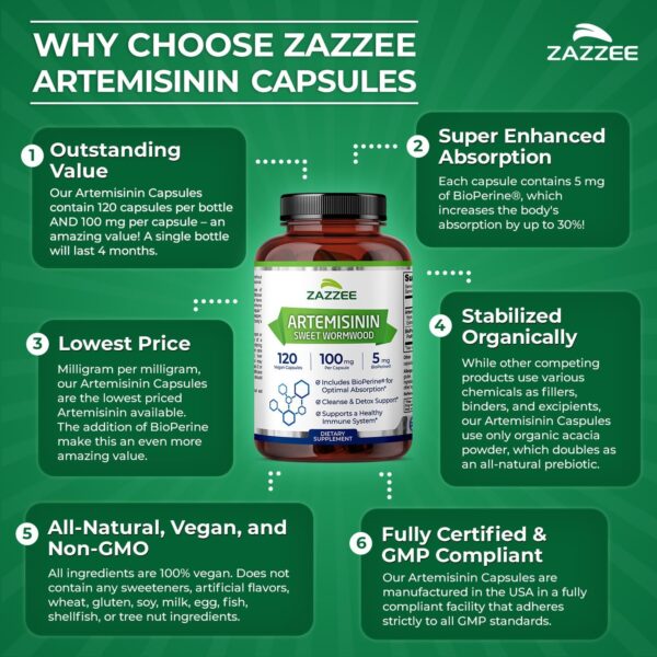 Zazzee High Absorption Artemisinin, 100 mg per Capsule, 120 Vegan Capsules, with 5 mg BioPerine for Maximum Absorption, Sweet Wormwood Extract, 4 Month Supply, All-Natural and Non-GMO