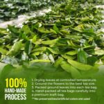 40 Premium Soursop Graviola Leaf Tea Bags, 100% Natural and Pure from Soursop Leaves, Handmade, Made With Natural Materials-Corn Fiber Tea Bag, Sugar/Caffeine/Gluten Free, Hoja Guanabana Tea