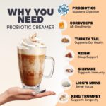 RYZE SUPERFOODS Probiotic Coffee Creamer with 6 Organic Adaptogenic Mushrooms & Probiotics for Energy, Focus, Digestion with USA Grown Turkey Tail, Shiitake, Lions Mane, Reishi, Gluten Free 30 serving