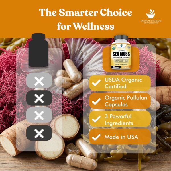 American Standard Supplements Organic Sea Moss, Bladderwrack & Burdock Root Capsules - 1200mg Seamoss, 1200mg Bladderwrack, 225mg Burdock Root Per Serving - 120 Capsules, 40 Servings