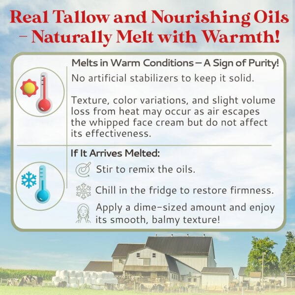 Amish Farms Tallow Face Cream - Handcrafted Beef Tallow for Skin Moisturizer Infused with Natural Ingredients, Orange & Vanilla Oils, 100% Grass-Fed Beef Tallow for Hydrated & Radiant Skin (50g Jar)