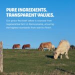 Earth Wave All Natural Tallow Hair Clay - Premium Hair Styling Clay - Organic Ingredients - Zero Toxins - American Made - Perfect for everyday use - Medium Hold & Natural Finish – 2.5 oz