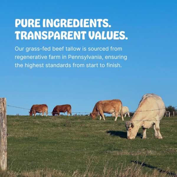 Earth Wave All Natural Tallow Hair Clay - Premium Hair Styling Clay - Organic Ingredients - Zero Toxins - American Made - Perfect for everyday use - Medium Hold & Natural Finish – 2.5 oz