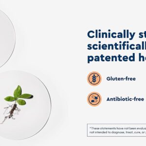 eed4b295-6d3d-44fd-bc19-f5c16514cb24.__CR0,0,2928,1200_PT0_SX1464_V1___