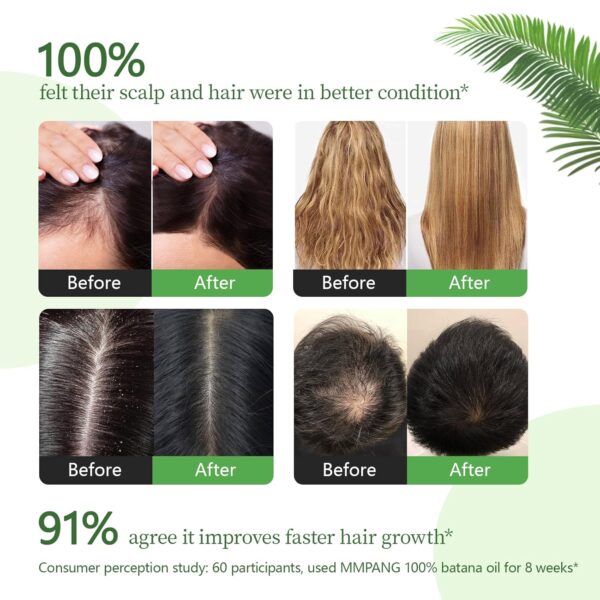 Batana Oil for Hair Growth Organic Raw Batana Hair Oil Natural Cold Pressed Pure Glass Bottle Oils to Thicken Brows, Repair Hair & Scalp, Fights Frizz, All Hair Types (2 fl oz) by MMPANG